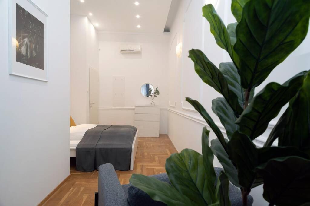 Best Located, 150 M2 5 Bedrooms Apt., 布达佩斯 外观 照片